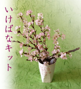 サクラ 花 生花の人気商品 通販 価格比較 価格 Com