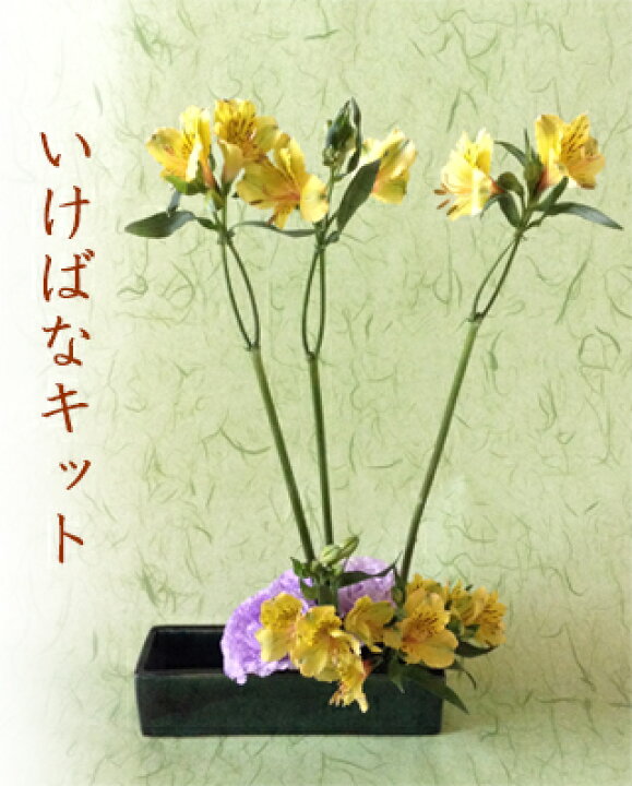 楽天市場 生け花セット いけばなキット ３か月コース 初心者も簡単 4月はアルストロメリアの生け花 いけばなを始めるなら生け花キット 生け花定期便 初心者向け華道セット材料 フラワーサブスクリプション Ikebana 送料無料 生花 和の花 和の花