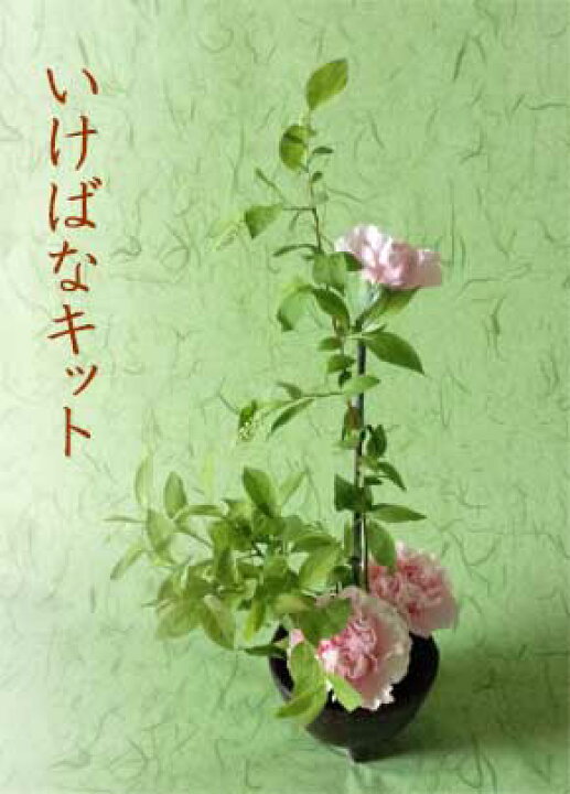 楽天市場 いけばなキット 12か月コース 自宅で生け花 毎月届く花 いけ花の定期便 5月はカーネーションの生け花 一年間自宅で華道 高齢者室内レクリエーション いけばな初心者 フラワーサブスクリプション Ikebana 送料無料 生花 和の花 和の花