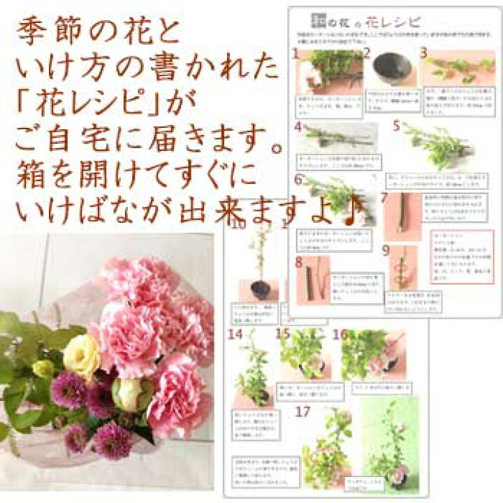楽天市場 いけばなキット 生け花セット 初めての方も簡単 花材とレシピが届く 9月はスプレーマムの生け花 ワレモコウ 8月はアスター 生け花はじめてセット 初心者 高齢者 年配のレクリエーション 認知症予防とリハビリ 華道セット Ikebana 送料無料 和の花 和の花