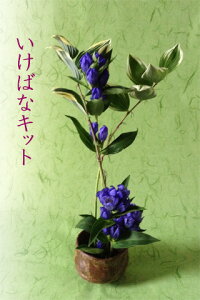 生花 りんどうの人気商品 通販 価格比較 価格 Com 生花 りんどうの人気商品 通販 価格比較 価格 Com