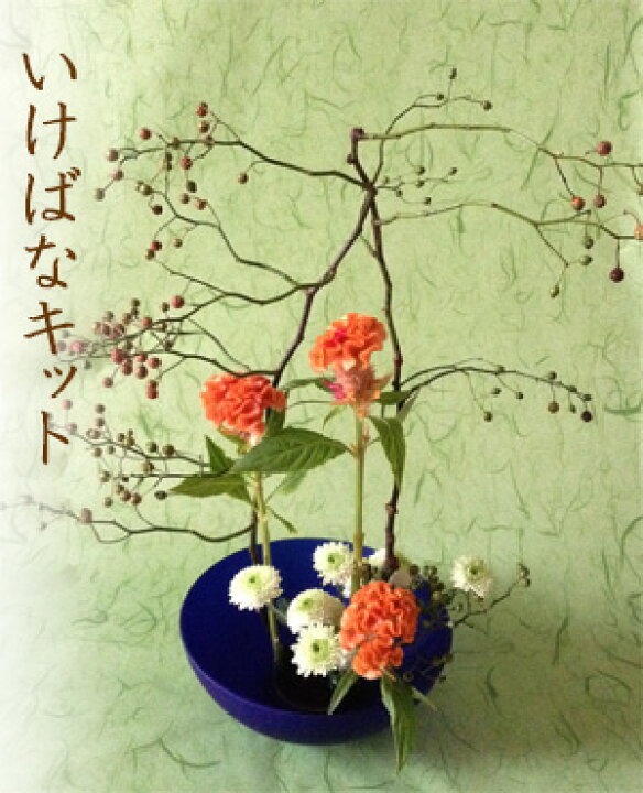 楽天市場 生け花セット いけばなキット ３か月コース 初心者も簡単 12月はスイートピーの生け花 花とレシピが届く いけ花定期便 初心者向け華道セット 毎月届く生花セット 日本の伝統文化いけばな 花材料 フラワーサブスクリプション Ikebana 送料無料 生花 和の花
