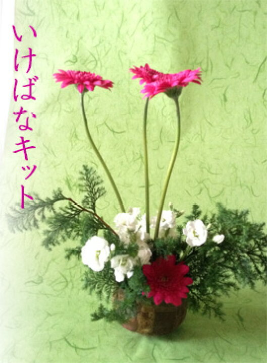 楽天市場 生け花セット いけばなキット ３か月コース 初心者も簡単 11月はガーベラと季節花の生け花 花とレシピが届く いけ花定期便 初心者向け華道セット 毎月届く生花セット 花材料 フラワーサブスクリプション Ikebana 送料無料 生花 和の花 和の花