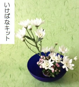 ΂ȃLbgE12R[XSҗp@t[TuXN@΂ȃZbgNԁ@9̓Xv[}̐ԁ@10͌{@͂ԁ@Ԓց@ԃZbg@΂ȏS