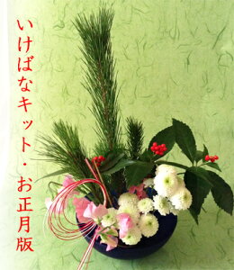 花 キット 生花の人気商品 通販 価格比較 価格 Com