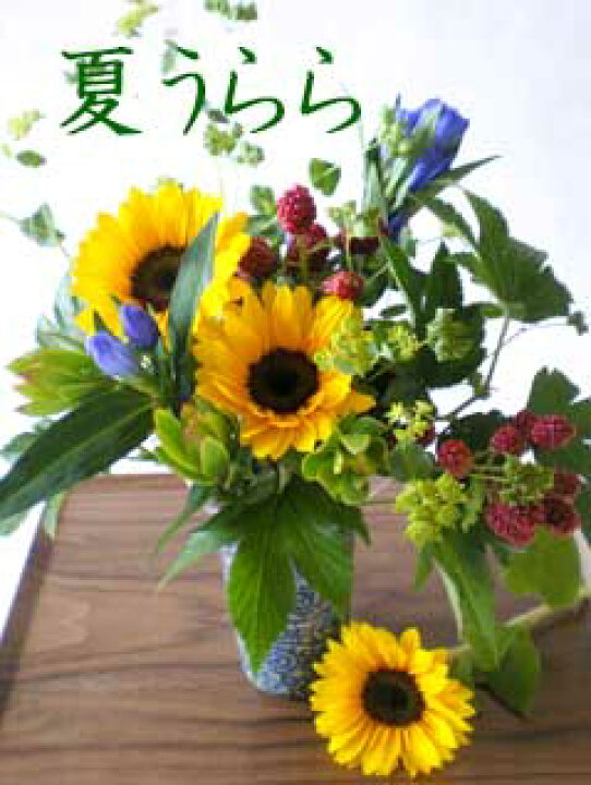楽天市場 父の日フラワーギフトはひまわりの花 夏うらら ヒマワリと季節花を和柄ゴブレットに詰めて 父の日和風フラワーアレンジメント 花 と和食器 生花 和風花 画像配信 花とうつわ 和の花 和の花 楽天市場 父の日フラワーギフトはひまわりの花 夏うらら ヒマワリと季節花を和柄ゴブレットに詰めて 父の日和風フラワーアレンジメント 花 と和食器 生花 和風花 画像配信 花とうつわ 和の花 和の花