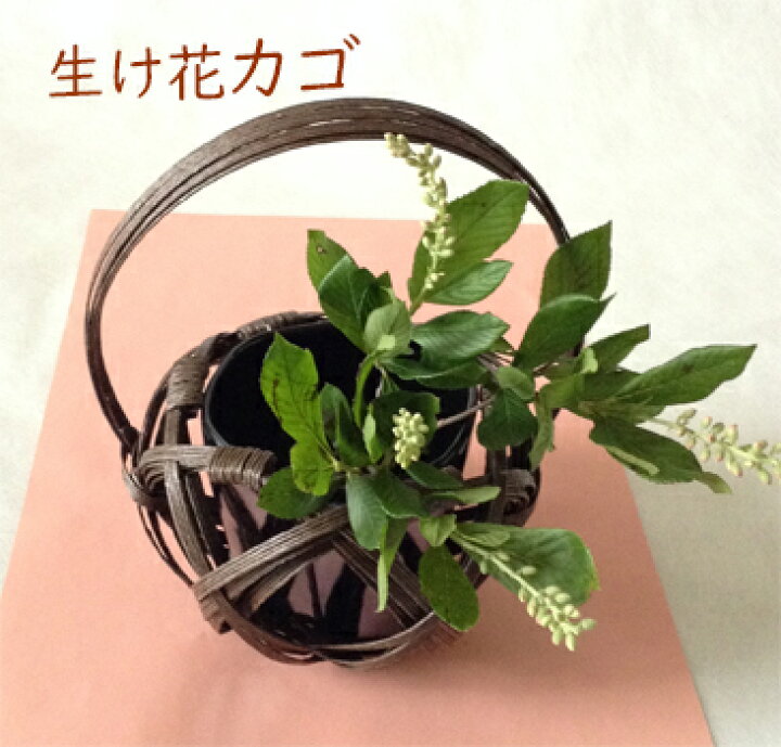 楽天市場 生け花 かご 落とし付き いけばなに使える紙製カゴと陶器の落とし ペーパークラフトバンドの花カゴ 生け花 六角網代編み手付き籠 華道 和風籠 活け花 華道セット 生け花セット 花とううわ 和の花 和の花