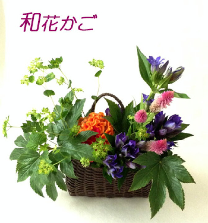 楽天市場 和花かご フラワーギフトは和風の花籠 紙籠にリンドウと季節の花 秋の花竜胆 鶏頭 ケイトウの花 画像サービス 生花 和風フラワーアレンジメント 花と器 和の花 和の花