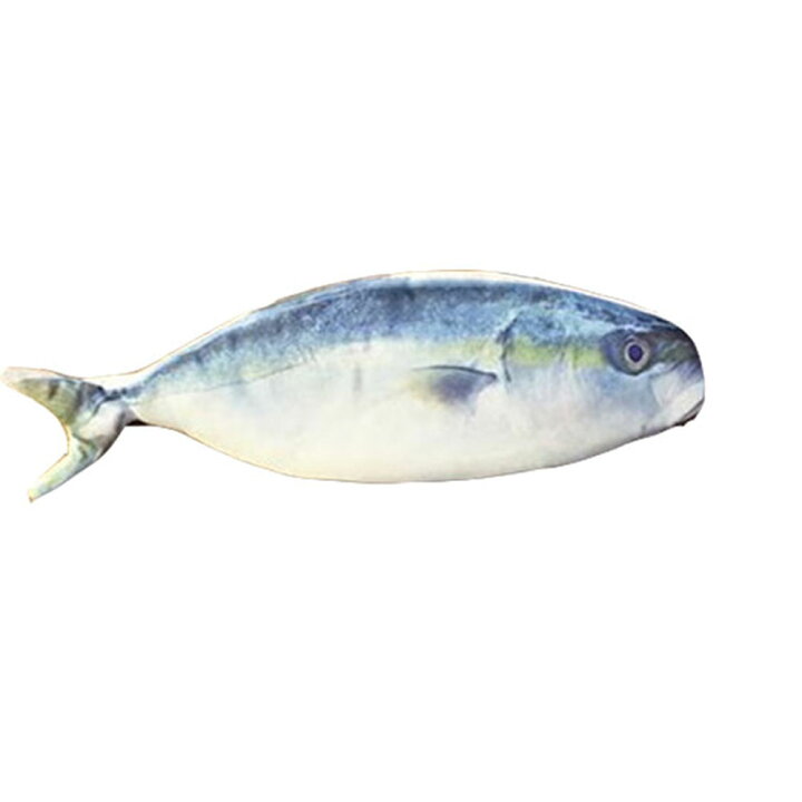 楽天市場 超リアルな魚のペンケース 4種類 おもしろ雑貨 文房具 創造的なデザイン 鮮魚 鯛 筆箱 小物入れ トレイ付き 人気アイテム おもしろグッズ S1 メール便 直販ワールドマーケット