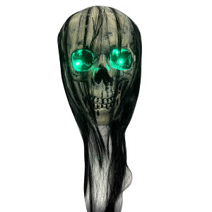  hN  nEB[  nEB fR[V  KCRc  ̖т  K[f ֐ K[fjO GNXeA DKR-HD02