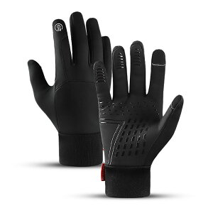  hO[u h oCN ] k oR ^b`plΉ g t[X ʋ ʊw ~pi A0079y[ցz