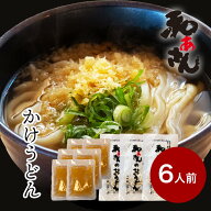 かけうどん 6人前 送料無料 北海道・東北・沖縄地方へのお届け別途1100円 和ぁさん　本生　ギフト　セッ…