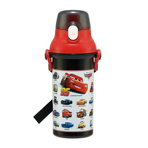 PSB5SANAG(J[Y/Cars)R H@Ή݃v^b`{g480mlySKATERz2025