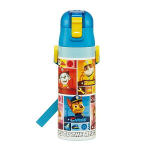 SDC4(pEEpg[)yʃRpNgbNtvbV_CNgXeX{gySKATERz2025