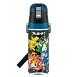 SDC4(|PbgX^[25)yʁEbNtvbV_CNgXeX{g470mlySKATERz2025