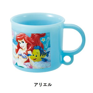 KE5AAG(AG) RېH@ΉvRbvySKATERz