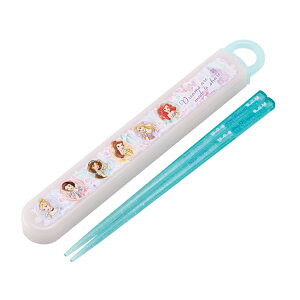 y270~䂤pPbgΏۏizABS2AMAG(vZX)RۃXCh&ZbgySKATERz2025