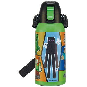 STCH6(}CNtg/Minecraft)V_[xgt_CNg{gySKATERz2025