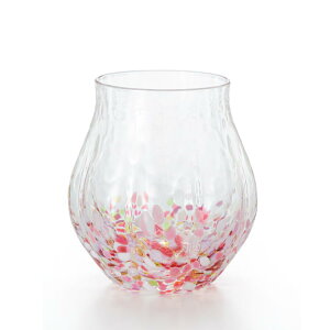 F-75292Ìyтǂ  ʂ̕ V[Y yAfAzyNEWz