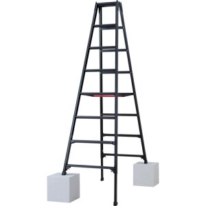 �n�Z�K�� �L�k�r���i�u���b�N���[�x���jRYZB-24a�i10913�j