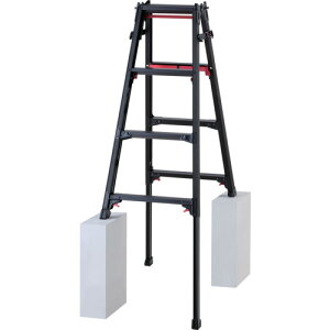 nZK rLkA~͂pr RYRLB^ 4ii10769j