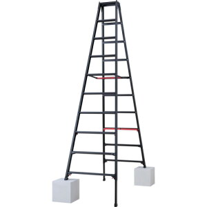 �n�Z�K�� �r���L�k����p�r�� �V���K�}�� �u���b�N 10�i�i10765�j