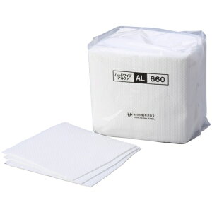 { EGX n[hCvAt@ 4c 300×340mm 65×18܁i1170j