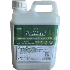 EL FUTURO uW[vX Op 2L