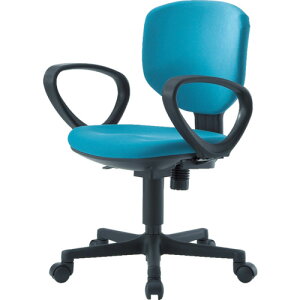 IRIS BITCX�EEX43��p���[�v�I