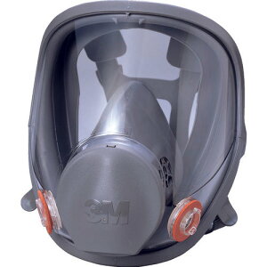 3M hŃ}XNg6000FV[Yh