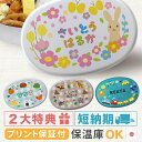 楽天1位【名入れ】キッズ アルミ 弁当箱 Sサイズ 280ml (満量350ml) 440ml 満量550ml 幼稚園 オーダーメイド オリジナ…