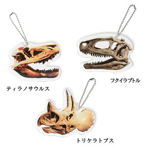 _Ci\[L[z_[  ANZT[y{z  gPgvX tNCvg eBmTEX G 傫߃TCY A Dinosaur Key holder