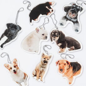 かわいい 犬 アクリル キーホルダー【安心の日本製】Dog KeyHolder 全8種 シュナウザー バーニーズ パグ 柴犬 ミニチュアダックス フレンチブルドック コーギー エアデールテリア イヌチャーム