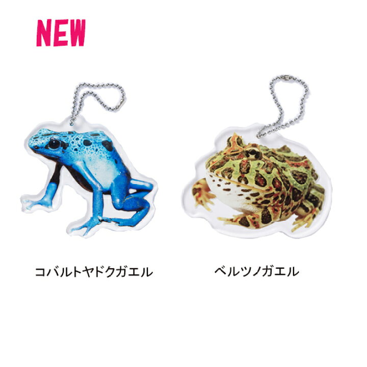楽天市場 目立つ キーホルダー True Frogs Key Holder トゥルーフロッグスキーホルダー 安心の日本製 リアル カエル クール 日本製 アクリル プレゼント コレクション かえる グッズ アイコレクション 楽天市場 目立つ キーホルダー True Frogs Key Holder トゥルーフロッグスキーホルダー 安心の日本製 リアル カエル クール 日本製 アクリル プレゼント コレクション かえる グッズ アイコレクション