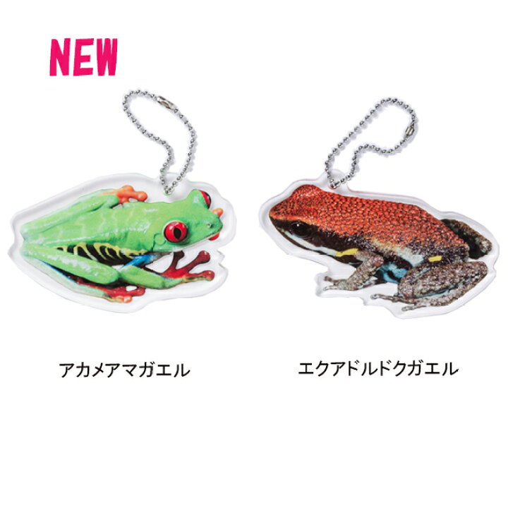 楽天市場 目立つ キーホルダー True Frogs Key Holder トゥルーフロッグスキーホルダー 安心の日本製 リアル カエル クール 日本製 アクリル プレゼント コレクション かえる グッズ アイコレクション 楽天市場 目立つ キーホルダー True Frogs Key Holder トゥルーフロッグスキーホルダー 安心の日本製 リアル カエル クール 日本製 アクリル プレゼント コレクション かえる グッズ アイコレクション