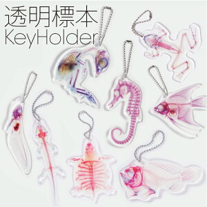 L[z_[ W{vg AN Key holderyS̓{zRNV v[g 킢  A G N[  Xb| JGARE G]TVEEI