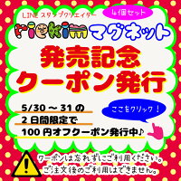 riekimマグネットアクリルリエキム