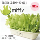 ミッフィー ペーパー 加湿器 miffy ミスティーガーデン 2nd エコ 加湿器 卓上 ミクニ 加湿器 おしゃれ misty garden セカンド 500cc グリーン 加湿器 自然気化式 エコ加湿器 紙 ミッフィーグッズ クリスマス 防カビ