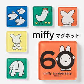 ミッフィー miffy アクリル マグネット 60thデザイン 45×45mm 絵本 かわいい コレクション グッズ 雑貨 アイテム ナインチェ ブルーナ 2020年の65周年記念デザイン うさこちゃん
