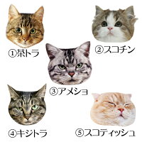 ■ワイングラス200cc割れないトライタンシリーズ!ネコ食洗器OK漂白剤OKコップ割れない!茶トラスコチンアメショキジトラスコティッシュ