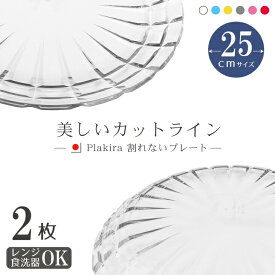 プレート大25cm 2枚組 トライタン 日本製 プラスチック 皿 デザート 女性 子供 カレー ワンプレート ランチ キャンプ 食器 セット 食洗機OK 割れない プラスチック アウトドア キャンプ 割れない 食洗器対応