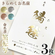 【名入れ】命名書 A4 3枚セット 箔 で彩る 命名書 赤ちゃん オーダーメイド お七夜 命名紙 命名札 出産記…