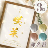 【名入れ】命名書 A4 3枚セット 箔 で彩る 命名書 赤ちゃん オーダーメイド お七夜 命名紙 命名札 出産記…