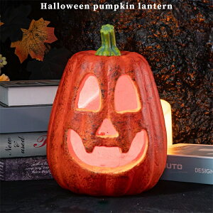 XpvL^ dr nEB   ڂ nEB ڂ u nEBڂ  24cm nEB[pvL^ nEB[ u 