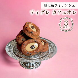 送料無料【 カフェオレ ティグレ 3個入り 】 進化系 コーヒー スイーツ かわいい 焼き菓子 フィナンシェ チョコレート プレゼント お礼 誕生日 おしゃれ 洋菓子 手土産 贈り物 出産 結婚 お土産 お祝い 内祝い ギフト 個包装 ホワイトデー　卒業 入学 祝い