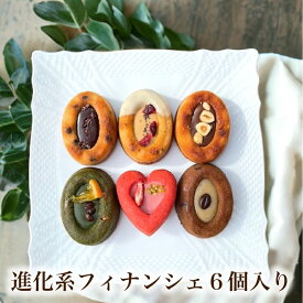 【100円OFFクーポン配布中！】 ティグレ6種類詰め合わせセット 御中元 夏 ギフト お菓子 のし無料 フィナンシェ [ プレーン いちご 抹茶 コーヒー ミルクティー キャラメル ] プレゼント お菓子 オシャレ 可愛い 高級 スイーツ 洋菓子 内祝い ギフト 個包装