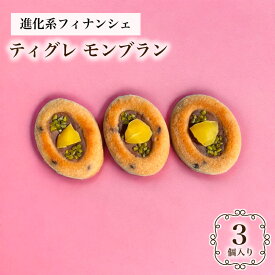 モンブラン ティグレ 3個入り 進化系 モンブラン ギフト スイーツ かわいい 焼き菓子 マロン フィナンシェ チョコレート プレゼント お礼 誕生日 おしゃれ 洋菓子 贈り物 出産 結婚 お祝い 内祝い ギフト 個包装 プチギフト