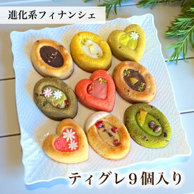 お菓子 ギフト フィナンシェ [ ティグレ 9種類 詰め合わせ ] お歳暮 焼き菓子 ギフト お返し 菓子折り フィナンシェ プレゼント お礼 誕生日 おしゃれ かわいい 高級 スイーツ 洋菓子 手土産 贈り物 出産 結婚 内祝い 個包装 お祝い