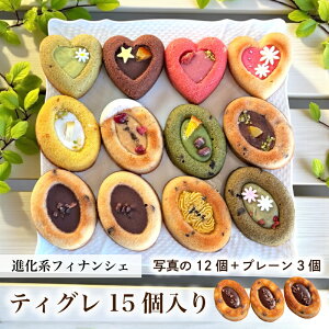 _ubNtCf[ő30%OFF^َq Mtg tBiVF [ eBO 15 lߍ킹 ] Ε Ăَq Ԃ َq܂ tBiVF v[g  a  킢 