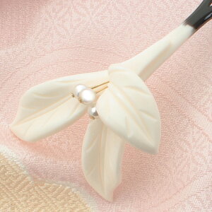 񂴂@{}@AZ`ChtBMA@ۉOt@^앗